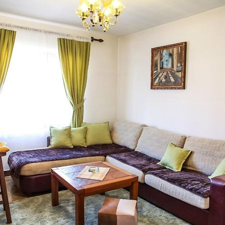 Apartment Dejan Цетине Екстериор снимка