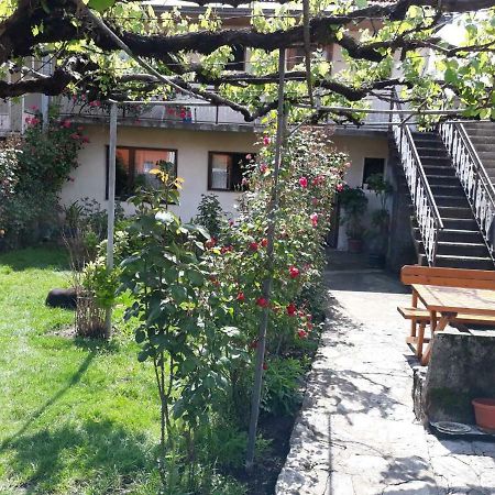 Apartment Dejan Цетине Екстериор снимка