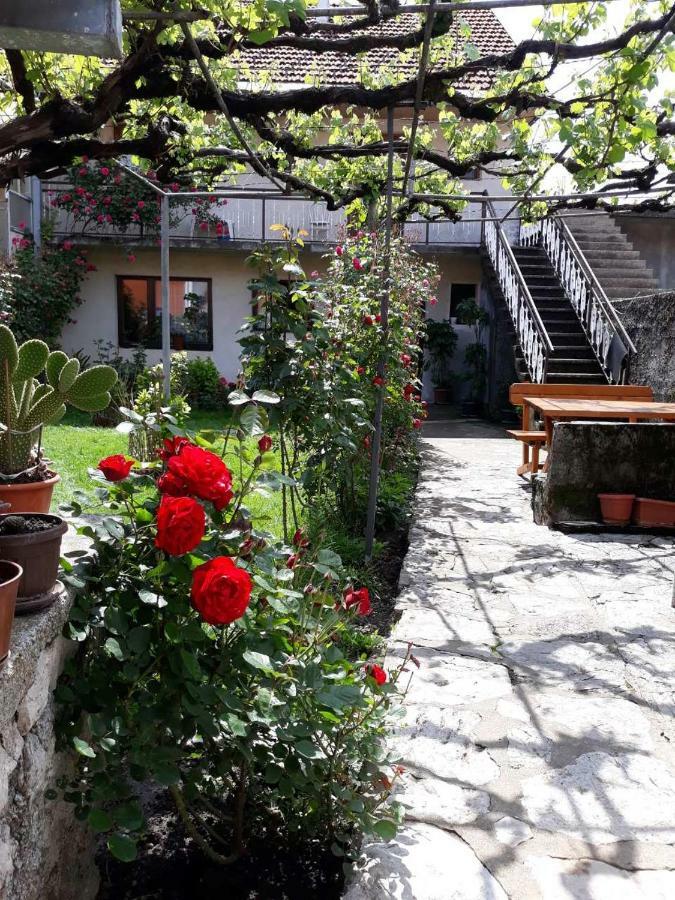 Apartment Dejan Цетине Екстериор снимка