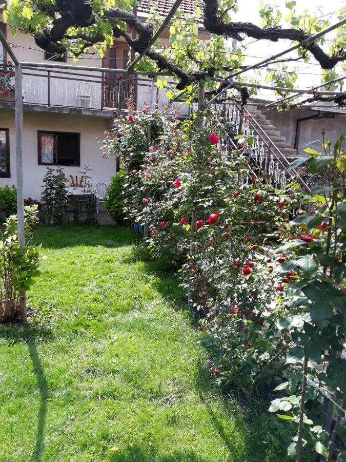 Apartment Dejan Цетине Екстериор снимка