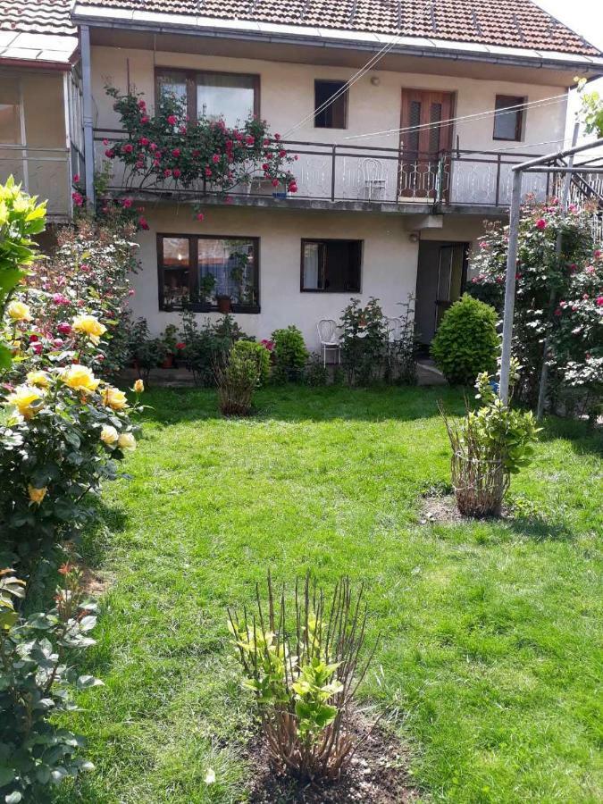 Apartment Dejan Цетине Екстериор снимка